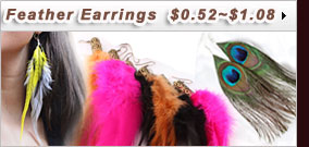  Feather Earrings 