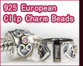 European Clip Charm Beads 