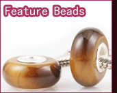 European Charm Feature Beads