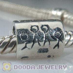 S925 Sterling Silver Charm Jewelry Family Beads and Charms