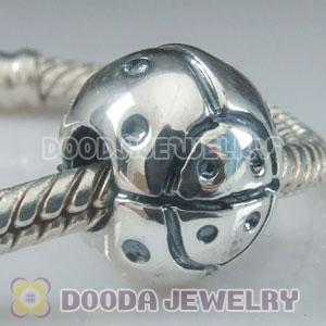 S925 Sterling Silver Charm Jewelry Beads and Charms