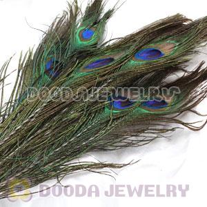 Real Natural Peacock Tail Eye Feather Hair Extension Wholesale