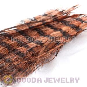 Brown Thin Striped Grizzly Bird Feather Hair Extension Wholesale