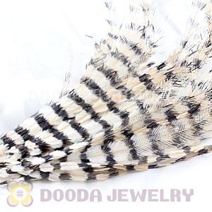 Ivory Thin Striped Grizzly Bird Feather Hair Extension Wholesale