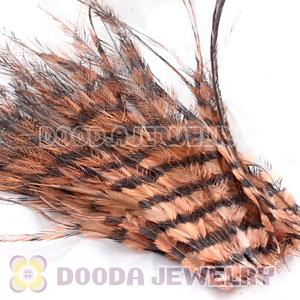 Brown Thin Striped Grizzly Bird Feather Hair Extension Wholesale