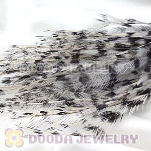 Thin Striped Grizzly Bird Feather Hair Extension Wholesale