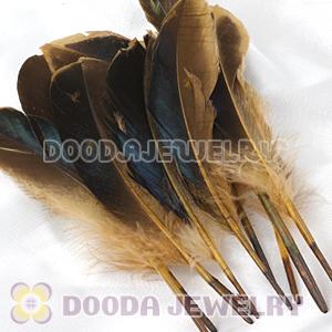Natural Duck Grey Loose Feather Hair Extensions Wholesale