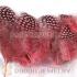 Pink Guinea Fowl Feather Hair Extensions Wholesale