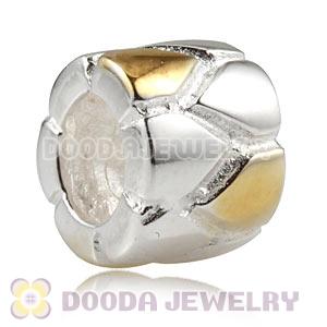 Gold Plated and 925 Sterling Silver European Style Beads and Charms