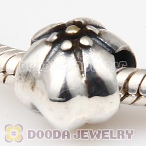 Gold Plated and European Style 925 Silver Beads and Charms