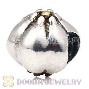 Gold Plated and European Style 925 Silver Beads and Charms