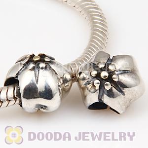 Gold Plated and European Style 925 Silver Beads and Charms