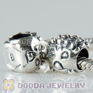 S925 Sterling Silver European Style Beads