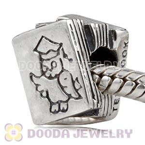 925 Sterling Silver study books charms fit European