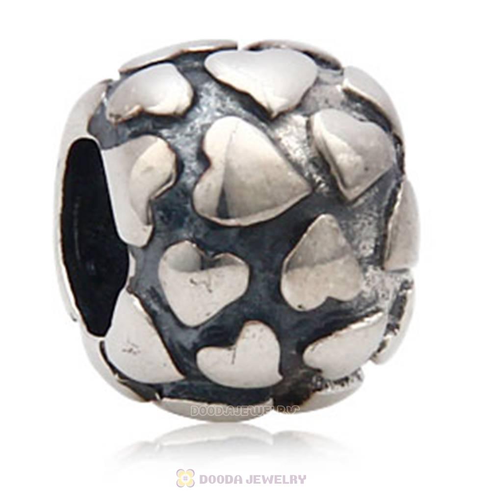 lots of loves 925 Sterling Silver Charm Jewelry Beads and Charms