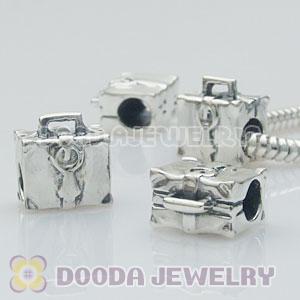 S925 Sterling Silver European Style Beads and Charms