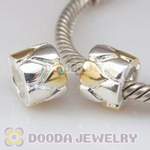 Gold Plated and 925 Sterling Silver European Style Beads and Charms