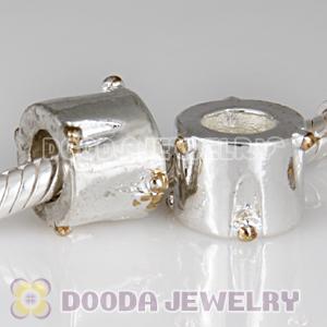 Wholesale European style silver plated beads and charms