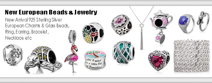 Sterling Silver Hidden Romance Ring European BEADS